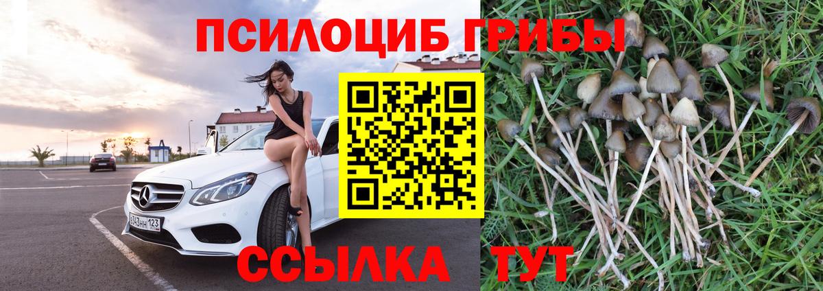 Галлюциногенные грибы Magic Shrooms Муравленко